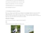 design professional scientific and business presentations